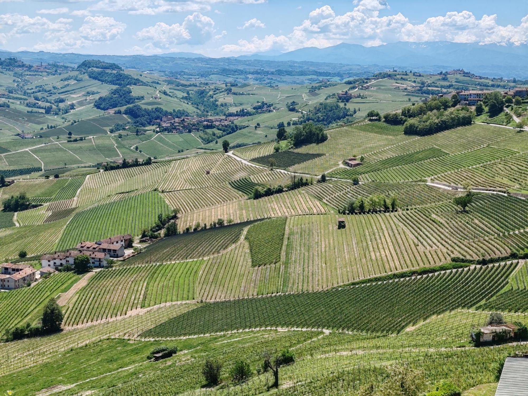Apartmán Tour In Langhe La Morra Exteriér fotografie